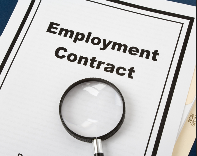 Understanding Employment Contracts: What to Look for